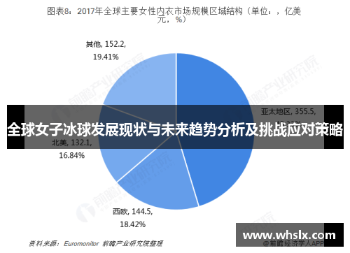 全球女子冰球发展现状与未来趋势分析及挑战应对策略