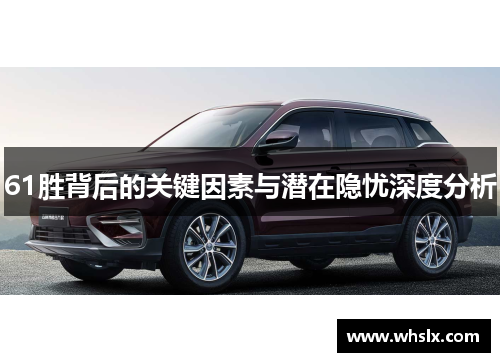 61胜背后的关键因素与潜在隐忧深度分析