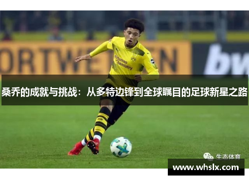 桑乔的成就与挑战：从多特边锋到全球瞩目的足球新星之路